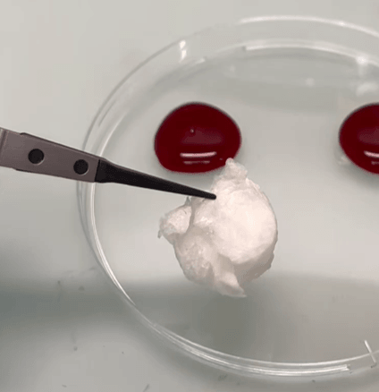 Ingenuity Lab Zurich (Prof. I. Herrmann)