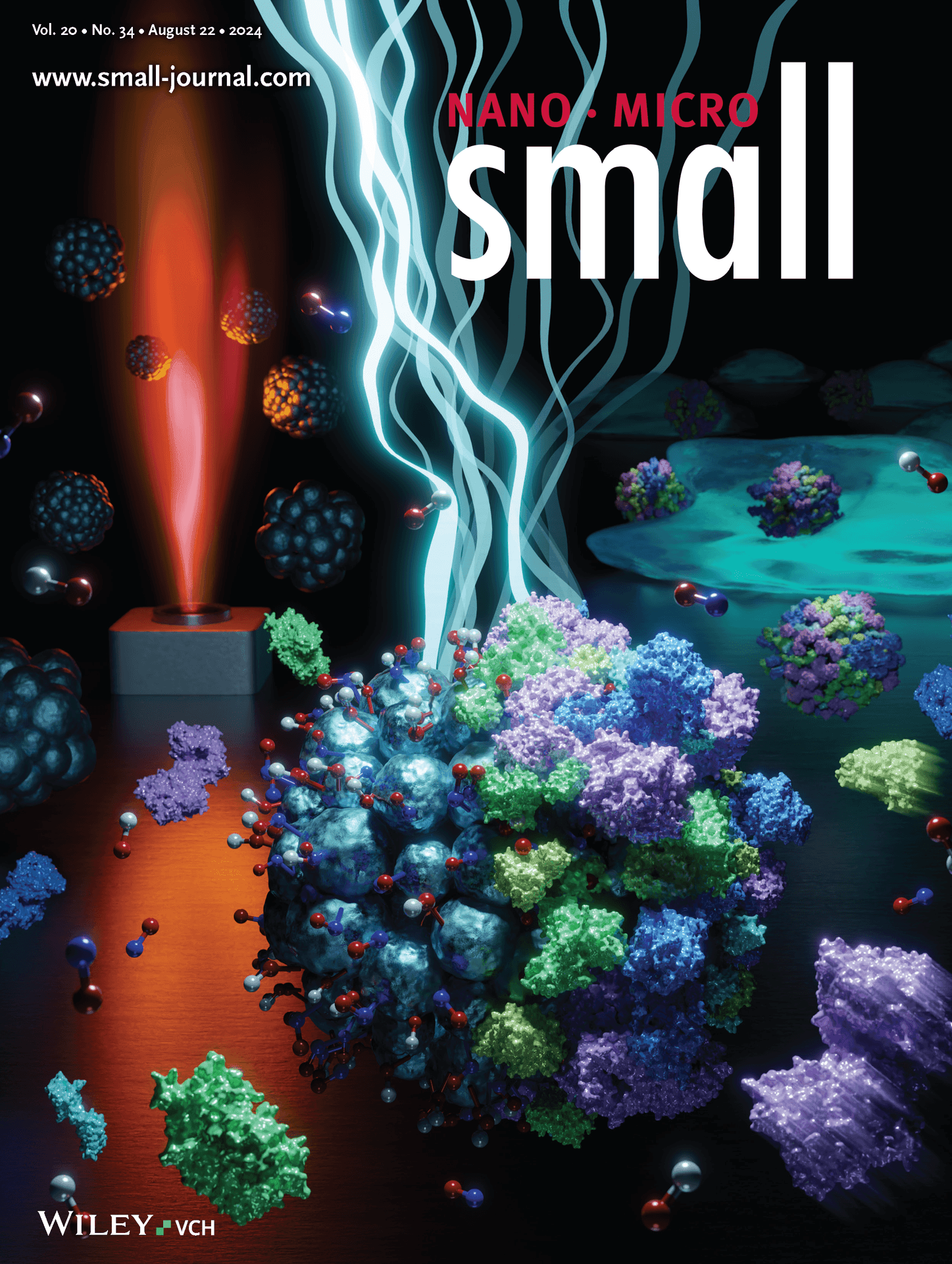 Cover of Small