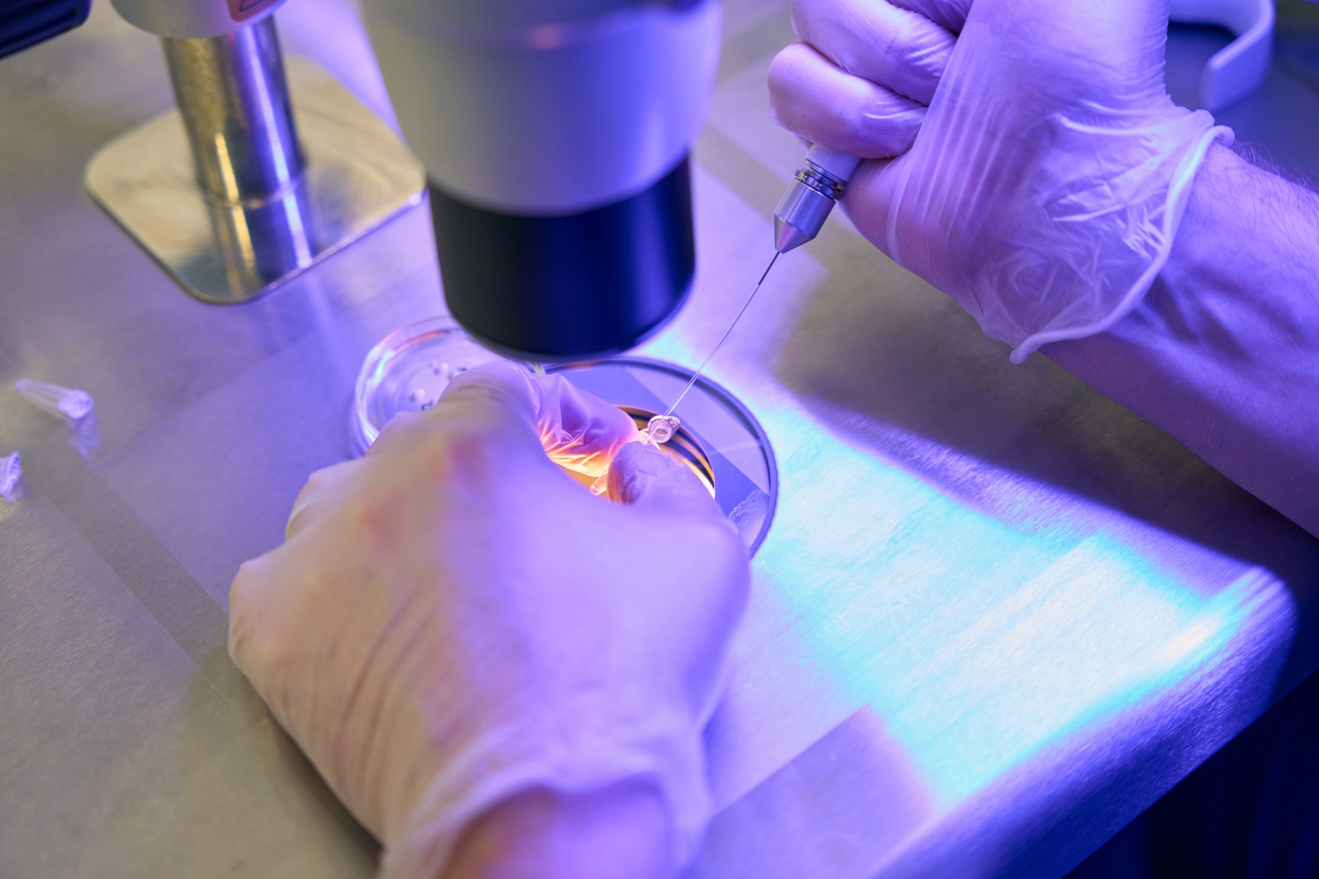 Reproductology laboratory assistant adding special drops with capillary holder